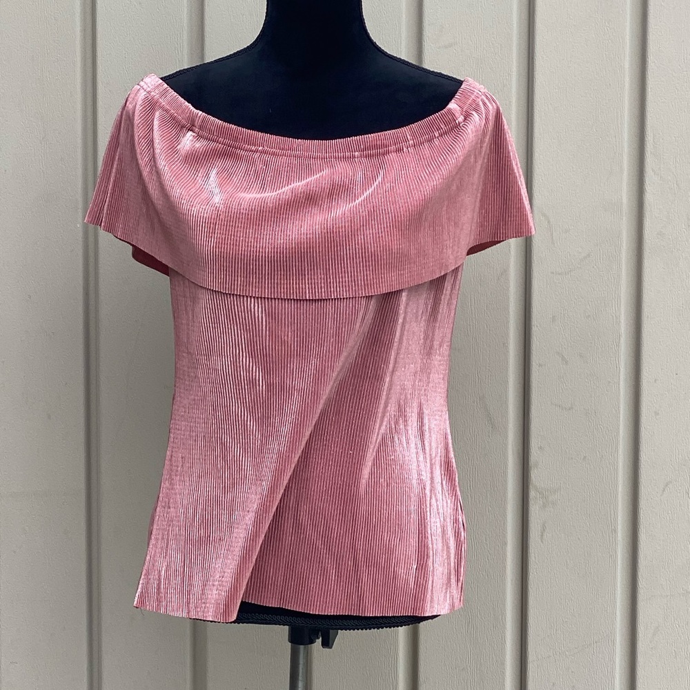 Blush Off The Shoulder Shirt NWT